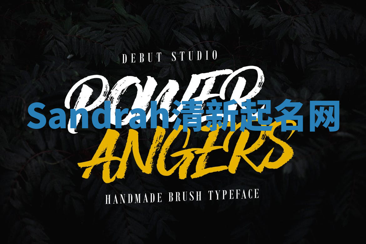 Sandrah清新起名网