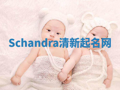 Schandra清新起名网