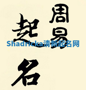 Shadricka清新起名网