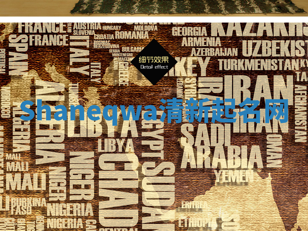 Shaneqwa清新起名网