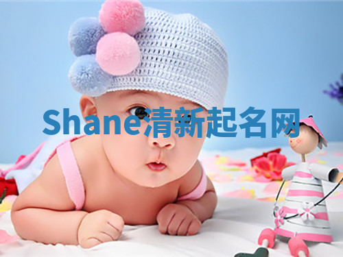 Shane清新起名网