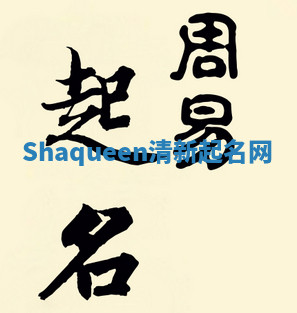 Shaqueen清新起名网