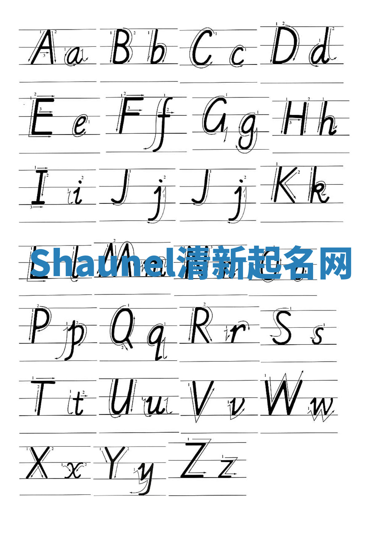 Shaunel清新起名网