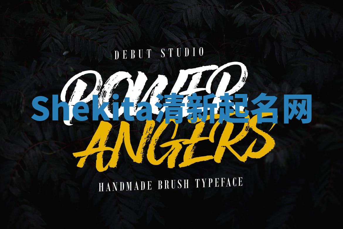 Shekita清新起名网