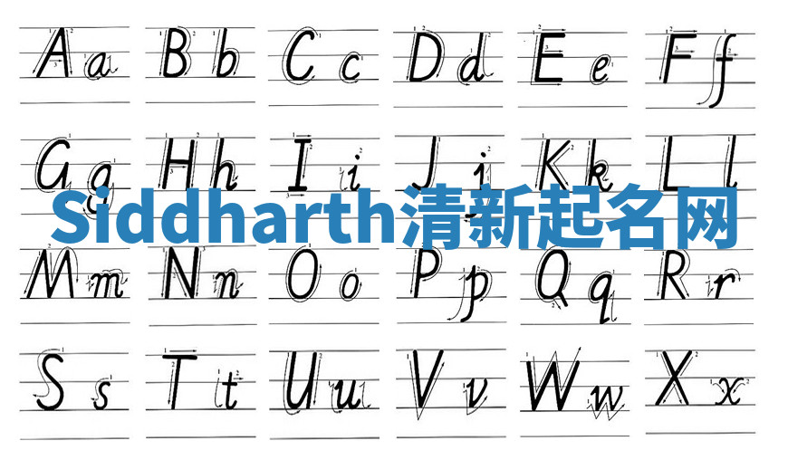 Siddharth清新起名网