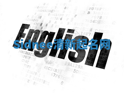 Sidnee清新起名网 Sidnee清新起名网