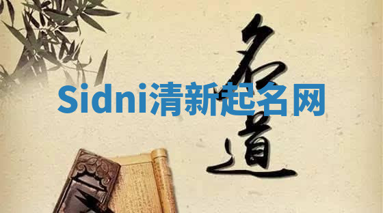 Sidni清新起名网