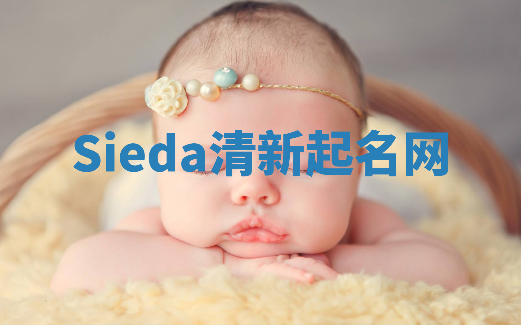 Sieda清新起名网 Sieda清新起名网