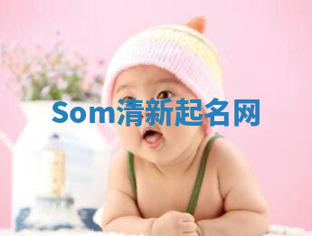 Som清新起名网