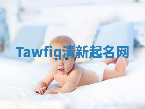 Tawfiq清新起名网