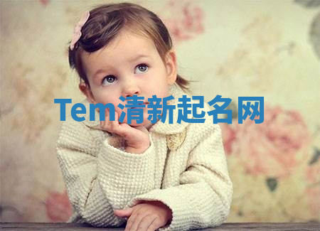 Tem清新起名网
