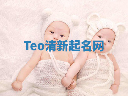 Teo清新起名网