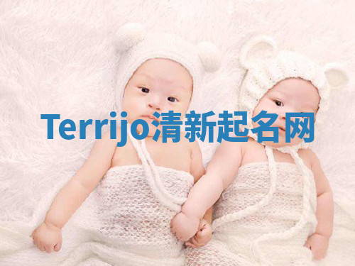 Terrijo清新起名网