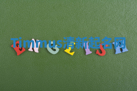 Timmus清新起名网
