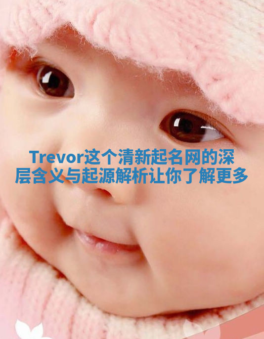 Trevor这个清新起名网的深层含义与起源解析让你了解更多