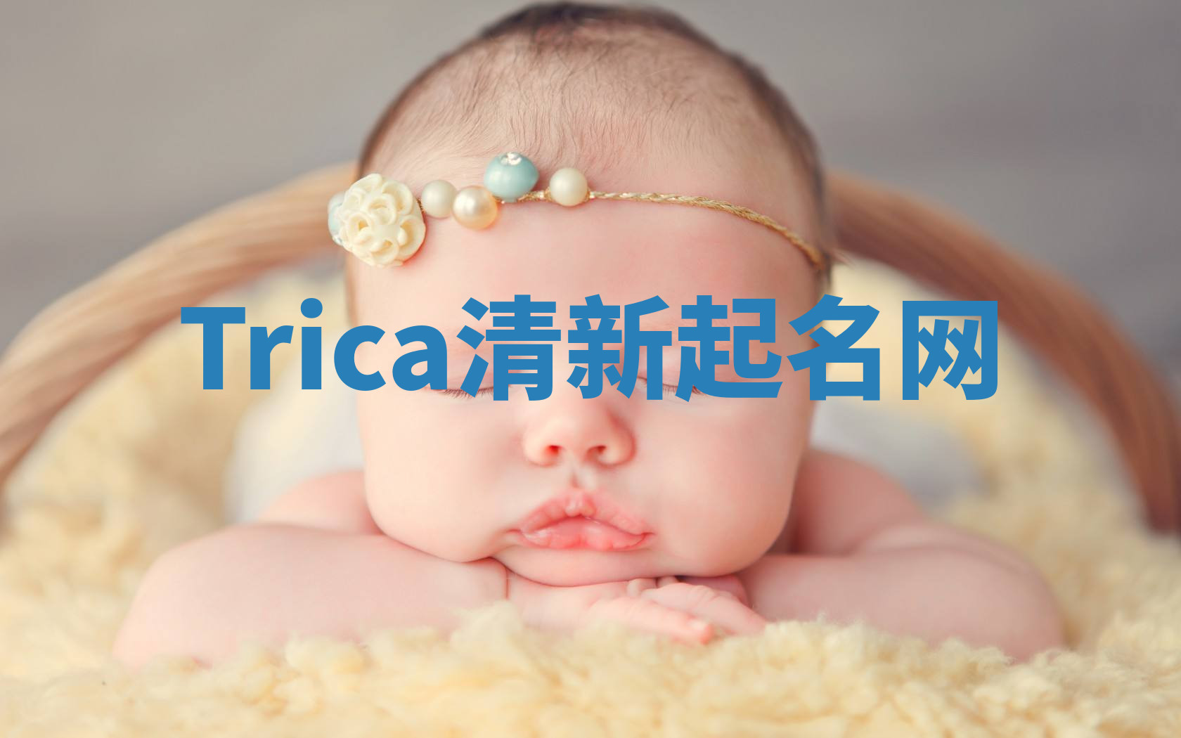 Trica清新起名网 Trica清新起名网