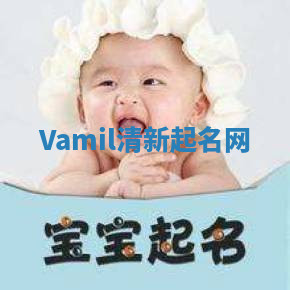 Vamil清新起名网