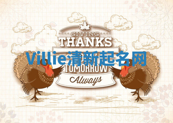 Villie清新起名网 Villie清新起名网