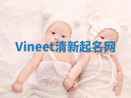 Vineet清新起名网 Vineet清新起名网