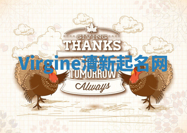 Virgine清新起名网 Virgine清新起名网