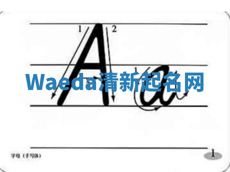Waeda清新起名网