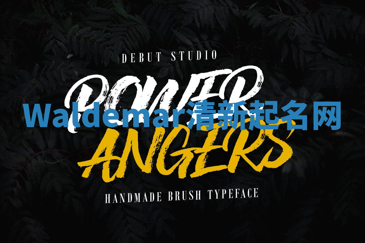 Waldemar清新起名网 Waldemar清新起名网