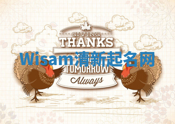 Wisam清新起名网