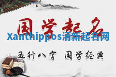 Xanthippos清新起名网