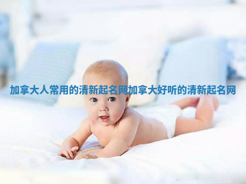 加拿大人常用的清新起名网 加拿大好听的清新起名网