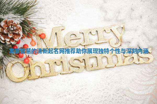 寓意智慧的清新起名网推荐助你展现独特个性与深刻内涵