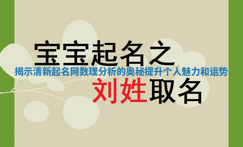 揭示清新起名网数理分析的奥秘提升个人魅力和运势